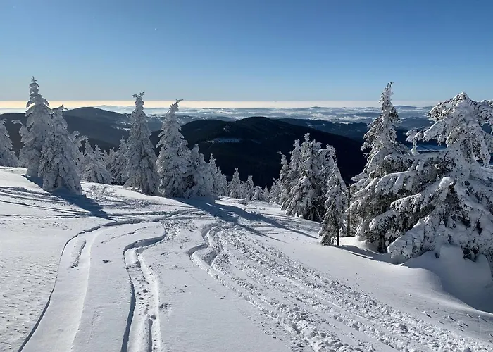 Premium Rokytnice Rokytnice nad Jizerou